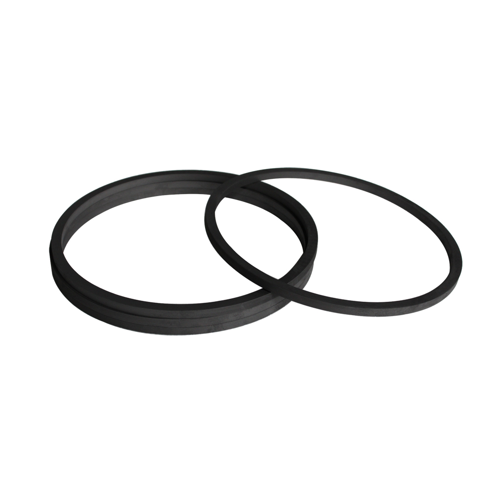 Dual-segment graphite seal ring set 180-degree overlap for thermal expansion compensation in centrifugal pumps